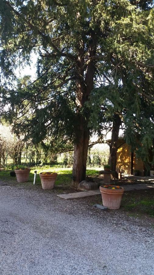 Al Cancello Módena Exterior foto